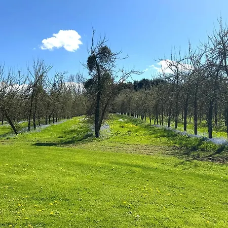La Maison Des Pommiers -calme -jardin -jeux * Orgeres (Orne)