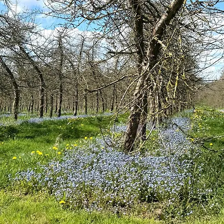 La Maison Des Pommiers -calme -jardin -jeux Orgeres (Orne)