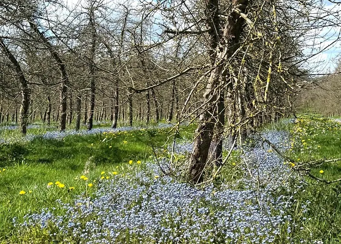La Maison Des Pommiers -calme -jardin -jeux Orgeres (Orne)